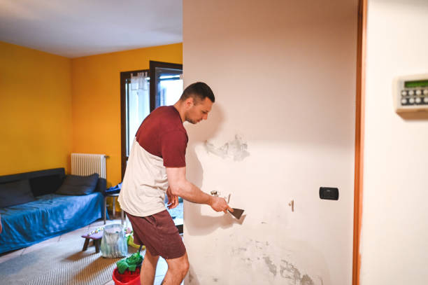 Best Mold Testing and Inspection Services in Anaheim, CA